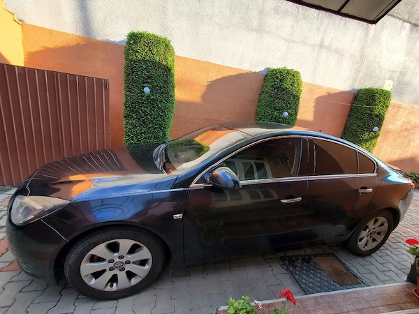 OPEL Insignia 2010 — imagine 2