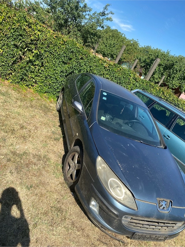PEUGEOT 407 2006 — imagine 2