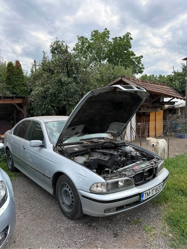 BMW 5 Series 1997 — imagine 4