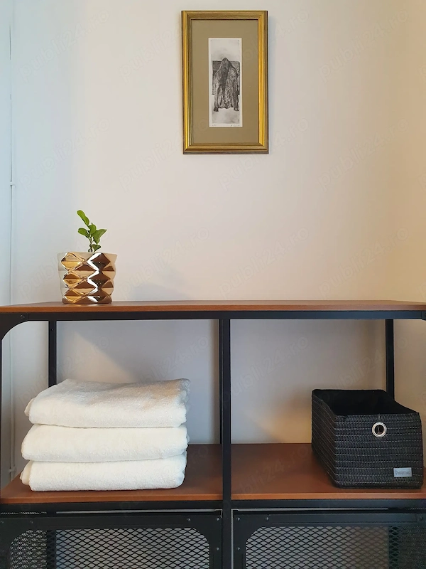 Apartament confortabil Aviației Nicolae Caramfil — fotografia 3