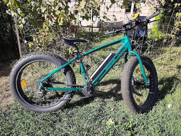 PEGAS Suprem Dinamic bicla Electrică