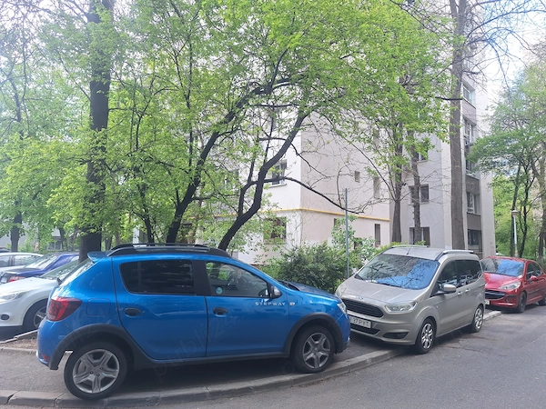 DACIA Sandero Stepway 2020 — imagine 2