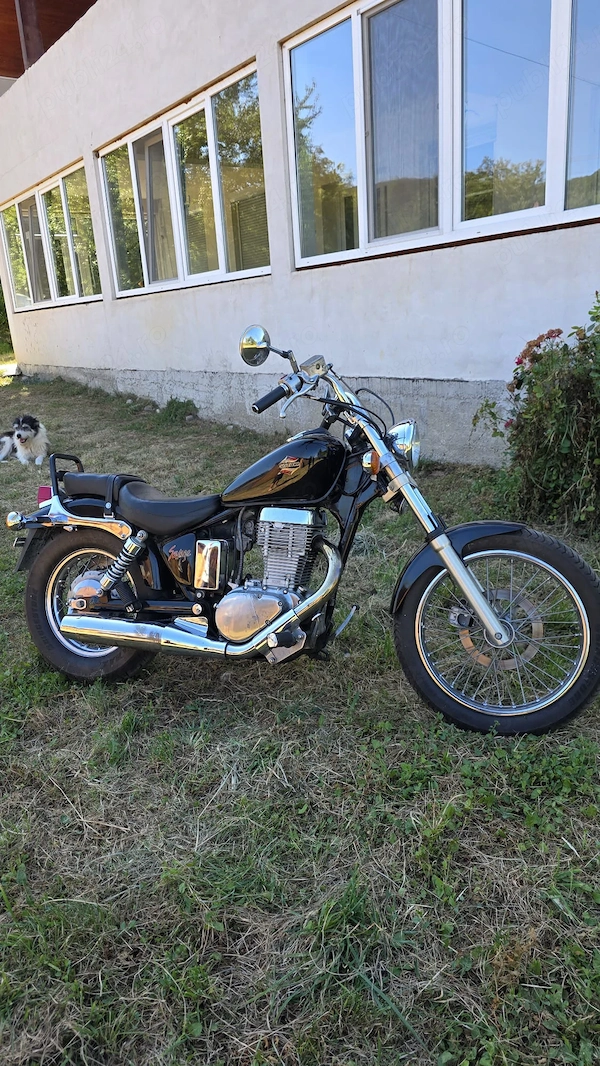 Suzuki ls 650 din anul 1992