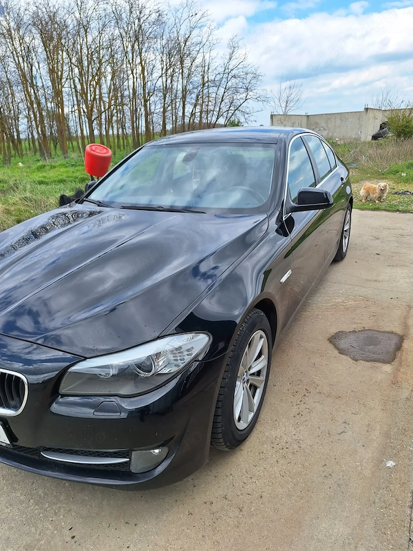 BMW 5 Series 2011 — imagine 10