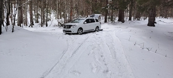 DACIA Logan 2015 — imagine 2