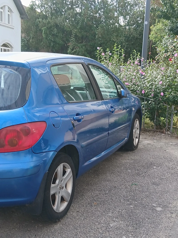 PEUGEOT 307 2003 — imagine 7