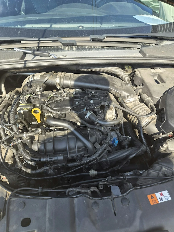 FORD Focus 2011 — imagine 5