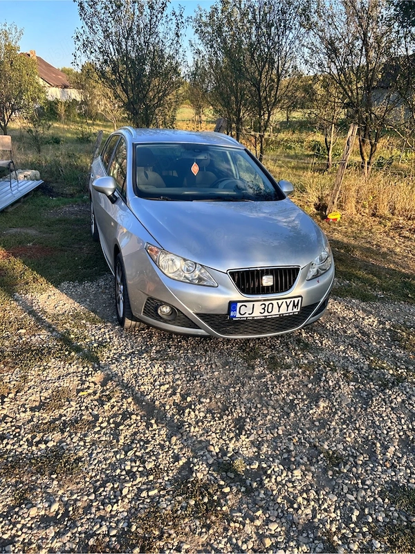 SEAT Ibiza 2011 — imagine 8