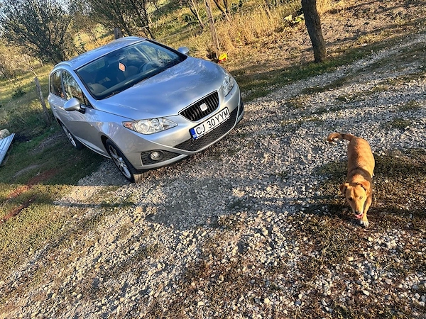 SEAT Ibiza 2011 — imagine 7