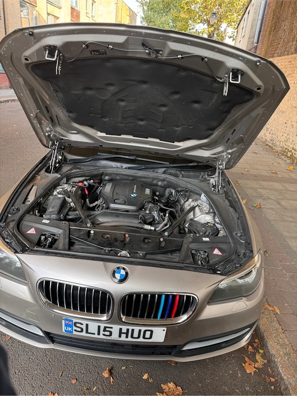 BMW 5 Series 2015 — imagine 6
