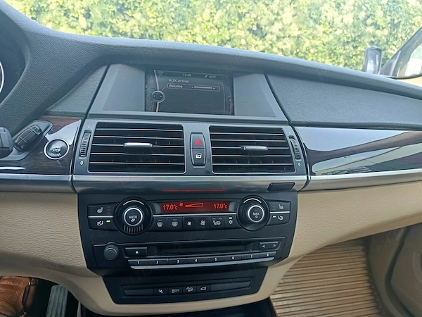 BMW X Series (Generic) 2010 — imagine 8