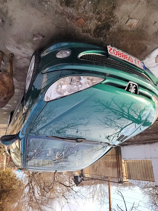 PEUGEOT 206 2004 — imagine 4