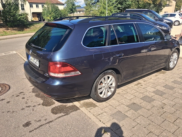 VOLKSWAGEN Golf 2010 — imagine 4