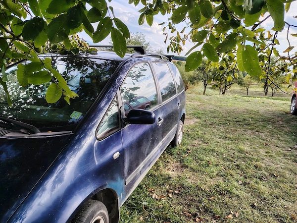 VOLKSWAGEN Sharan 2001 — imagine 6