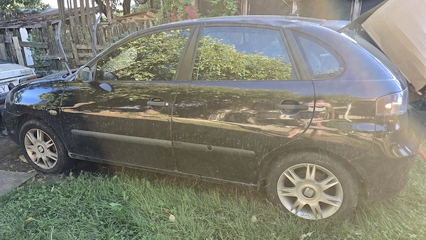 SEAT Ibiza 2006 — imagine 2