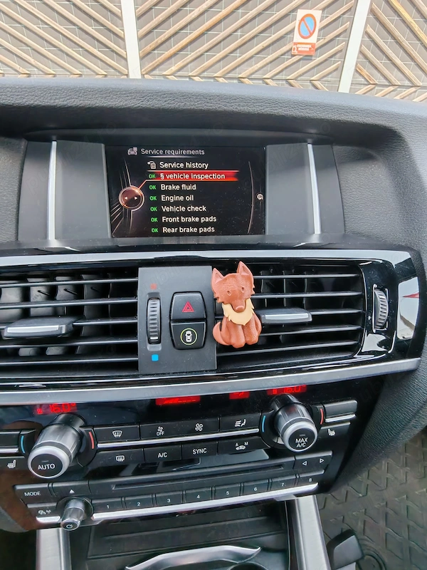 BMW X Series (Generic) 2015 — imagine 8