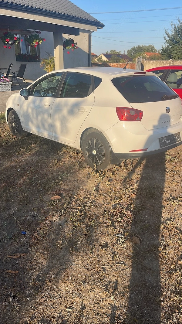 SEAT Ibiza 2009 — imagine 2