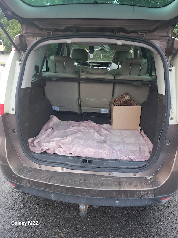 RENAULT Grand Scenic 2009 — imagine 4