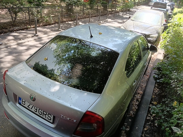 SKODA Octavia 2011 — imagine 10