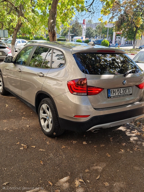 BMW X Series (Generic) 2013 — imagine 6