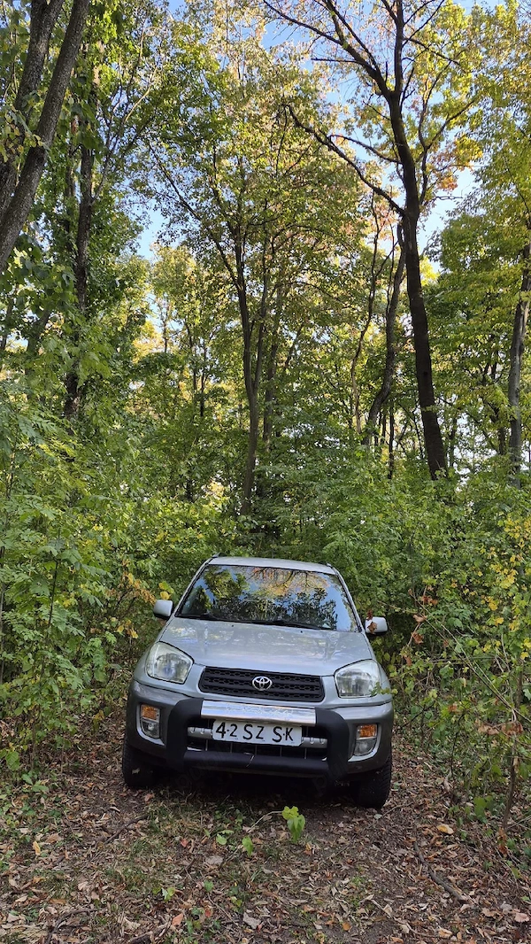 TOYOTA RAV4 2001 — imagine 5