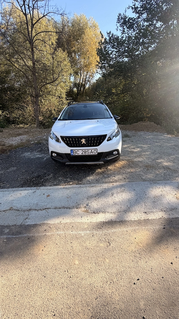 PEUGEOT 2008 2019 — imagine 3