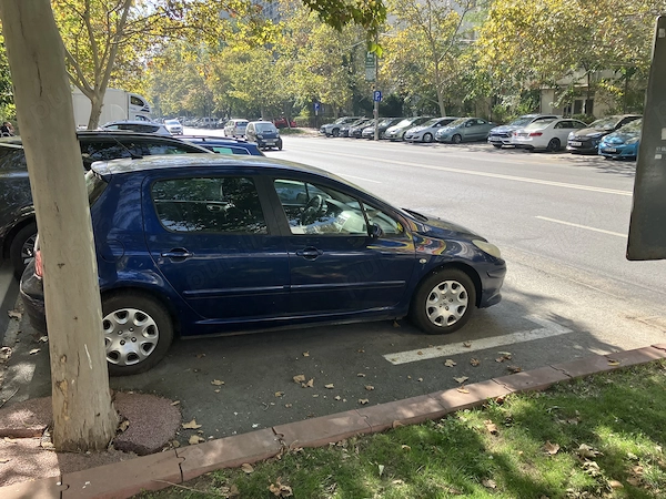 PEUGEOT 307