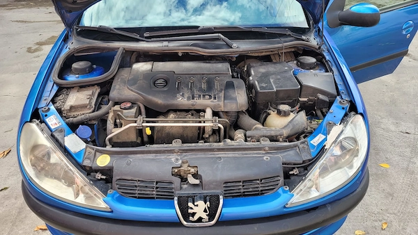 PEUGEOT 206 2004 — imagine 2