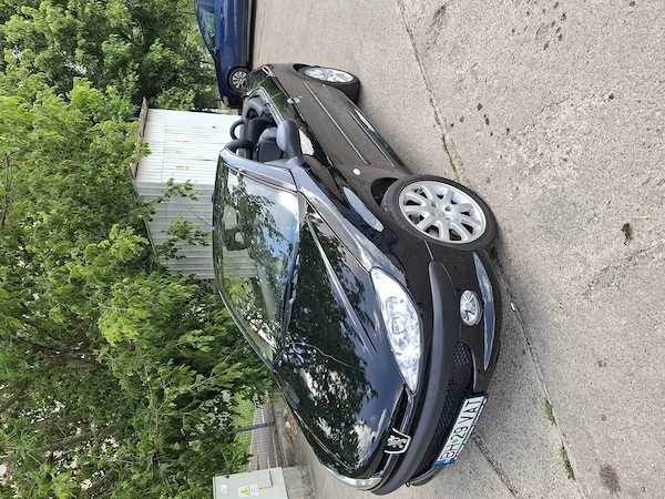 PEUGEOT 206 2001 — imagine 2