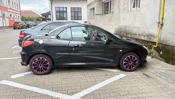 PEUGEOT 206