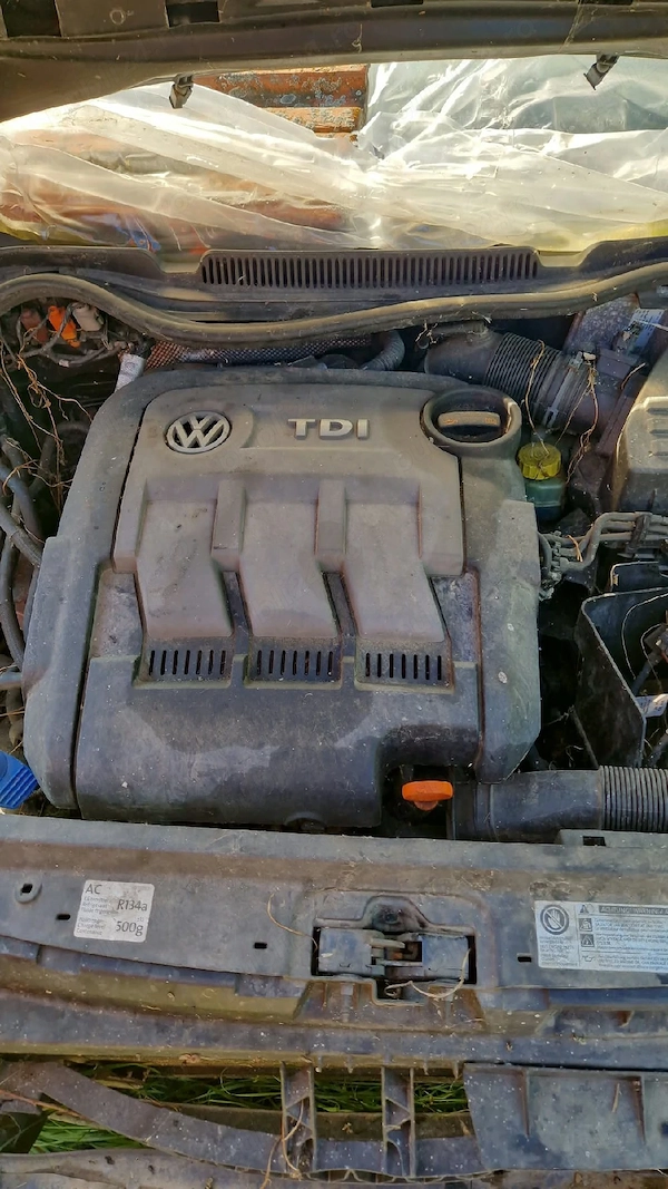 VOLKSWAGEN Polo