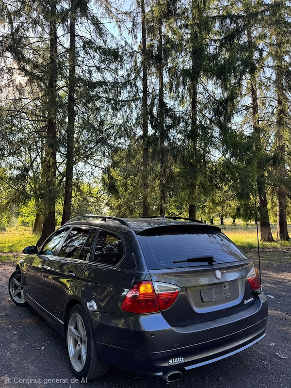 BMW Seria 3 2008 — imagine 3