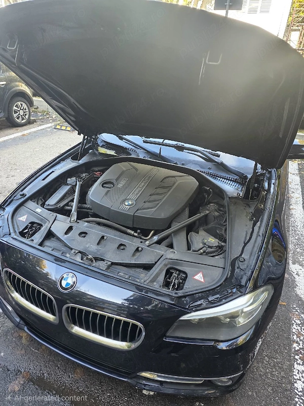 BMW Seria 5 2014 — imagine 6