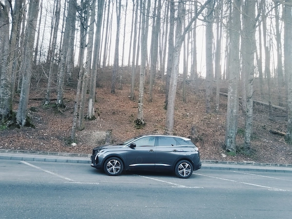 PEUGEOT 3008 2022 — imagine 2