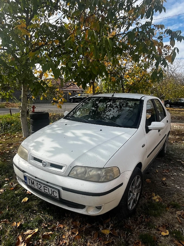Fiat Albea 2005 benzină, 711 € — imagine 2