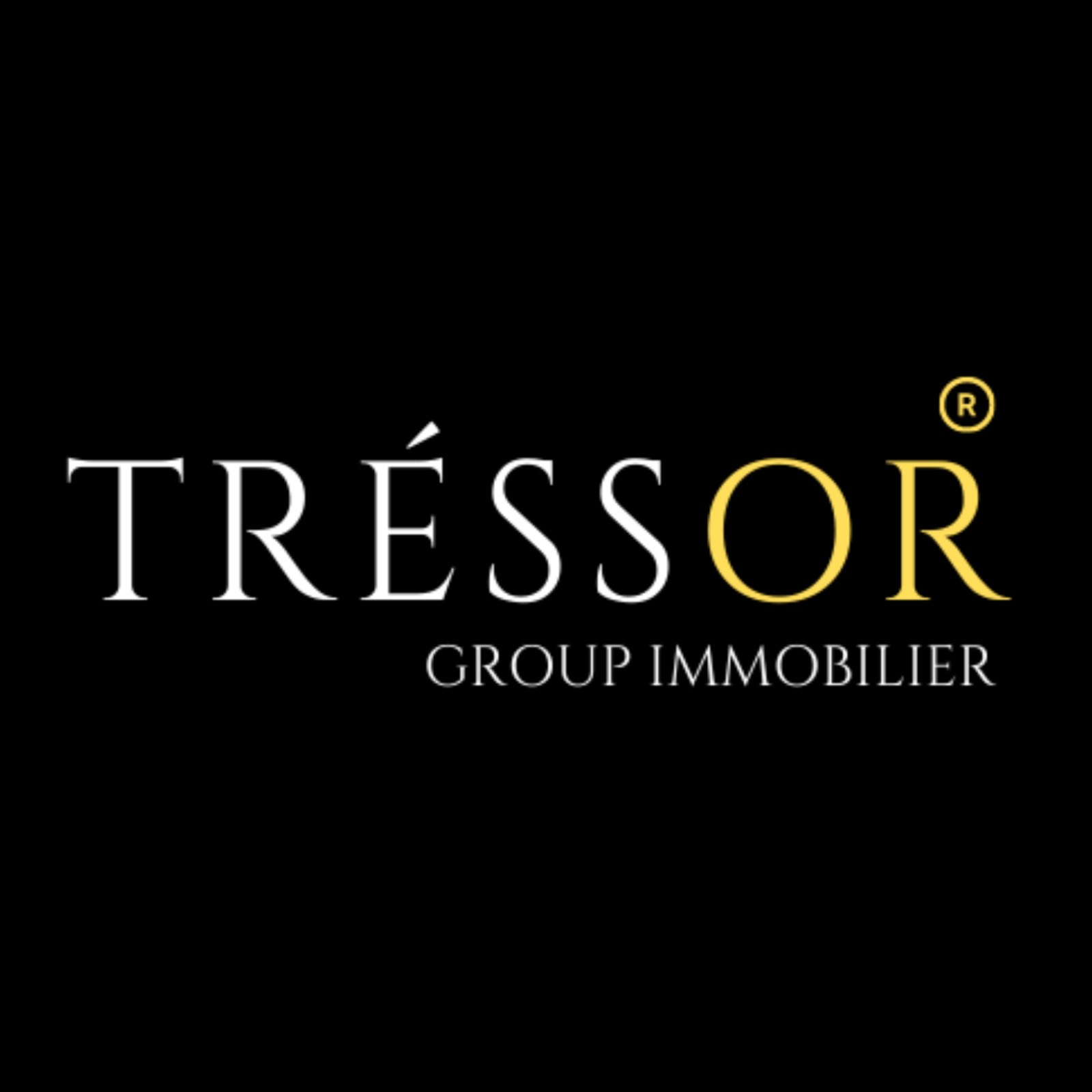 Tressor Group Immobilier