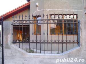 Porti si garduri - imagine 4