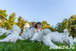 Inchiriez porumbei ptr. nunti-botezuri