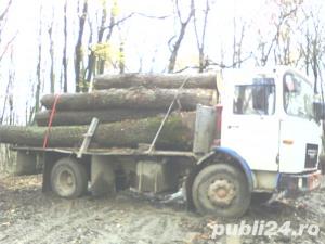 Vind lemne de FOC diferite esente ! Transport gratuit ! - imagine 6