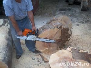 Tai lemne si pomi - imagine 3