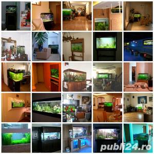 Acvarii si iazuri - imagine 2