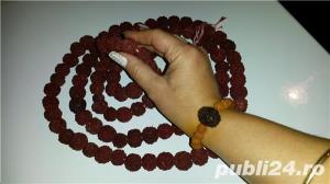 samburi rudraksha - imagine 2