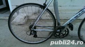 Cursiera - imagine 3