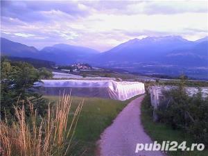 Plasa parazapezi, antigrindina, antipasari, antiploaie, antiafide, aluminet - imagine 8