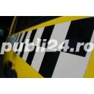 Stickere magnetice auto & frigider - imagine 3