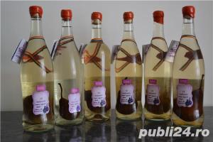 Parinca- rachiu cu para in sticla - imagine 8