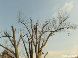 Alpinism utilitar, lucru la inaltime - imagine 8