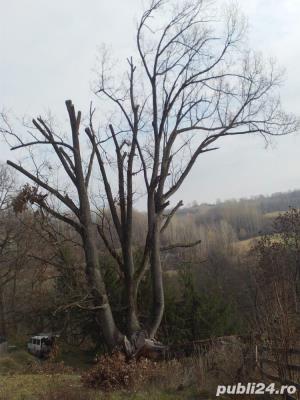 Alpinism utilitar, lucru la inaltime - imagine 6