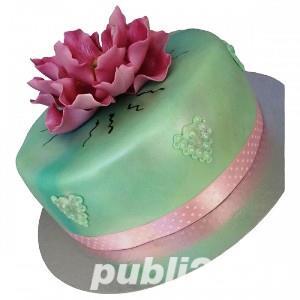 Vanzare torturi copii delicio