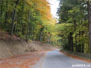 fotograf diverse ocazii private/publice - imagine 5